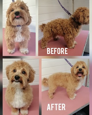 Perfect pooch dog grooming