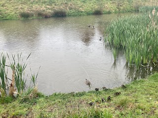 Balancing Pond