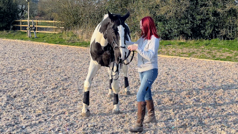 Jenny Adamson, Equine Physiotherapy & Rehabilitation & Spinal Manipulation