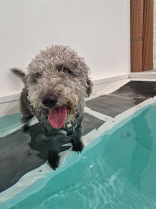 Duchy Canine Hydrotherapy