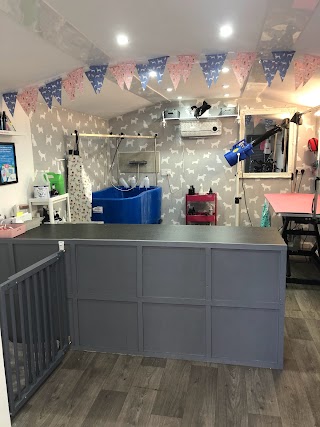 The Dog Spa UK