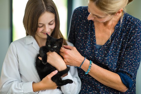 Bath Veterinary Group, Bath Cat Clinic