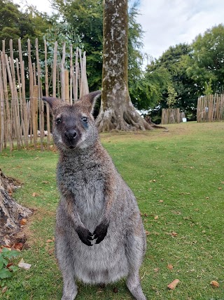 Manor Wildlife Park