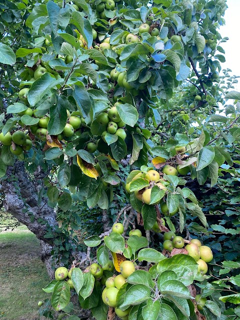 Apple Tree Cottage