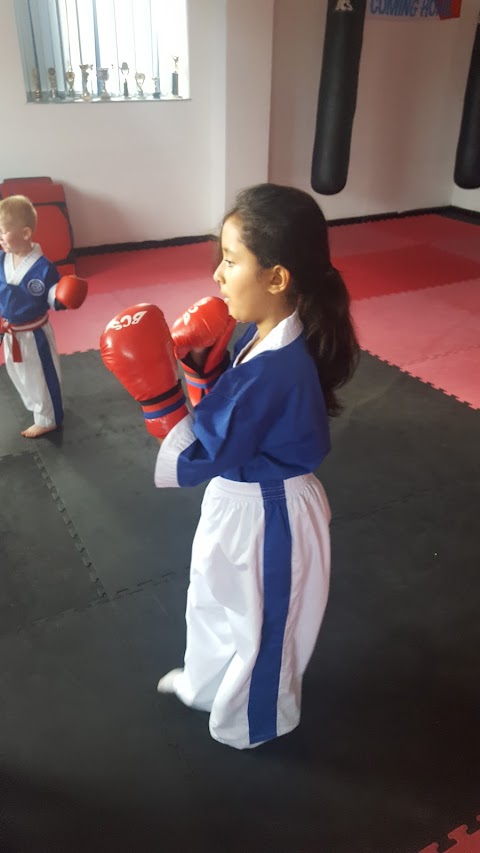 Oldbury and Tipton Tigers Martial Arts