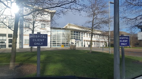 The Hospital for Small Animals