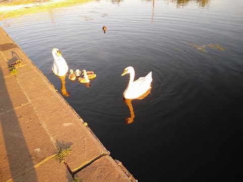 Peterborough Lido Outdoor Swimming Pool