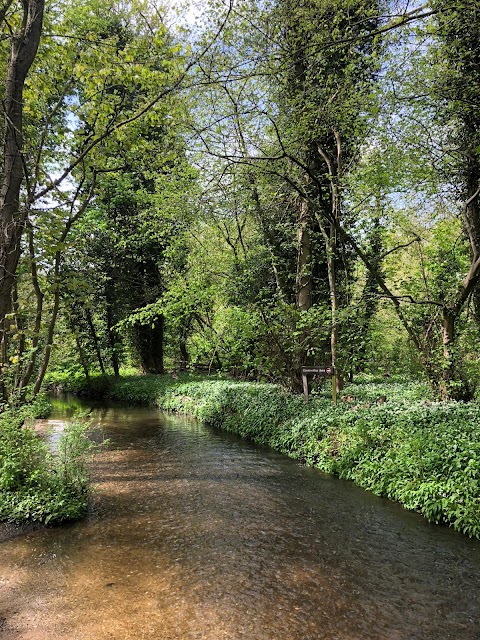 RSPB Middleton Lakes