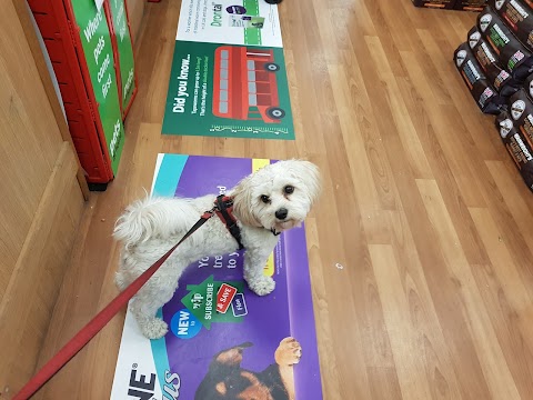 Pets at Home Camden