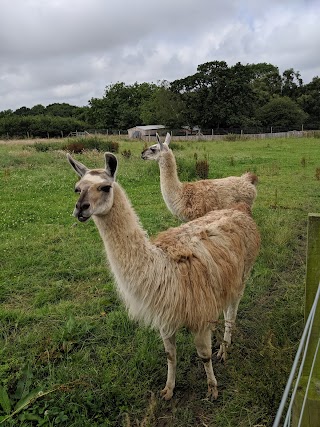 Northumberland Zoo