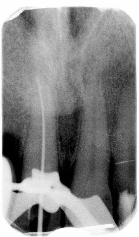 The Dental Law Partnership