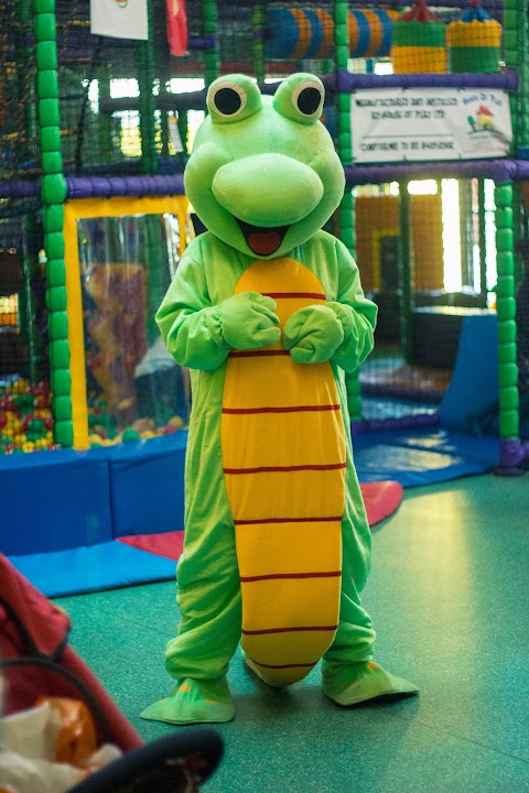 Fizzy Lizard Play Gym