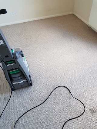 Carpet Cleaning in Reading