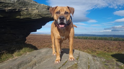 Hairy Hikers Sheffield