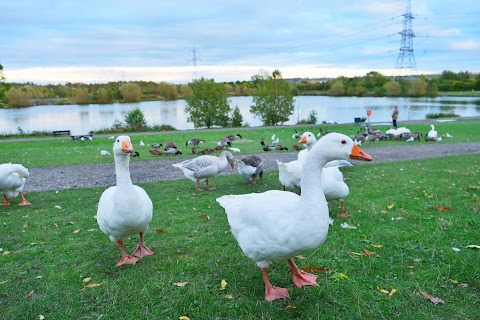 Poolsbrook Country Park