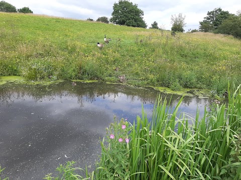 Daisy Nook Country Park