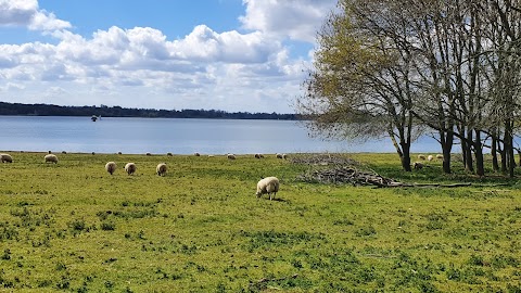 Rutland Water