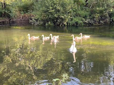 River Walk