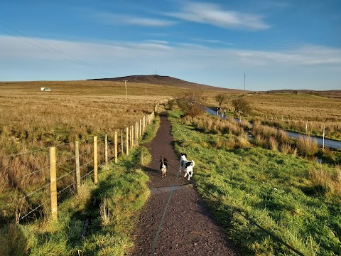 National Trust - Divis and the Black Mountain