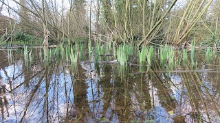 Meades Water Gardens