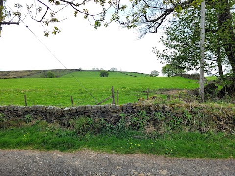 Honesty Box