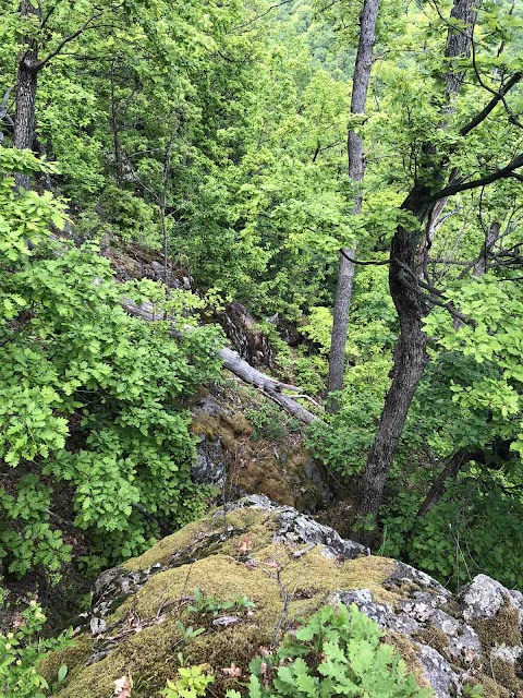Скелі Товста гора