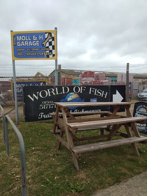 World Of Fish Ltd