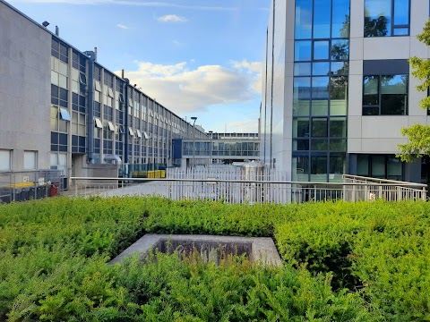 University College Dublin