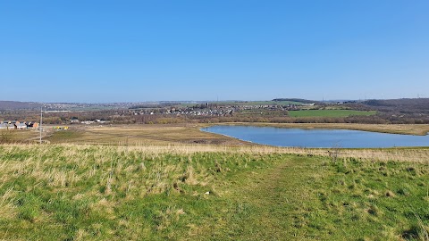 Waverley Lakes & Park