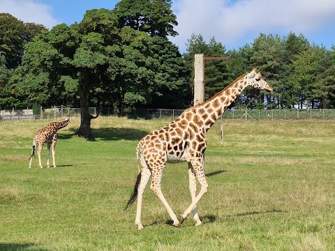 Longleat