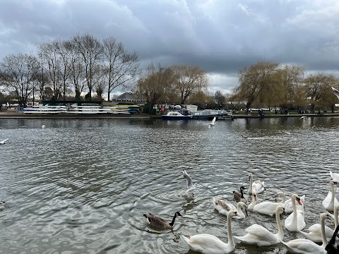 The Recreation Ground