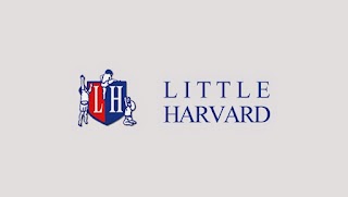 Little Harvard Crèche & Montessori, Childcare In Bray