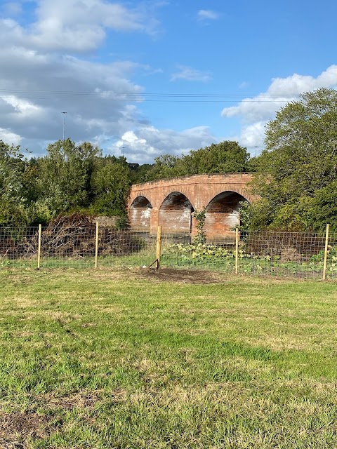 Unleash the Dogs - Uddingston Dog Fields