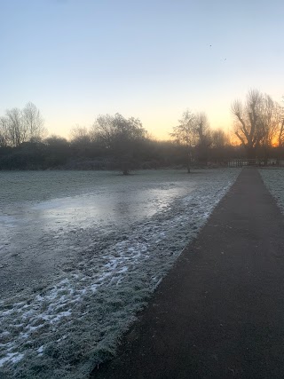 Water Meadow