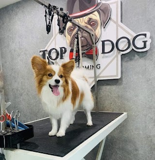 Top Dog Grooming