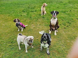 Happy Hound Hikes