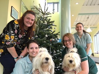 New Lodge Veterinary Centre