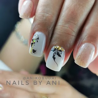 Nails by Ani