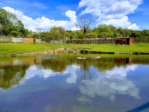 Brockswood Animal Sanctuary