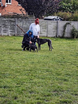 Di's Dog Garden and Sighthound Sanctuary