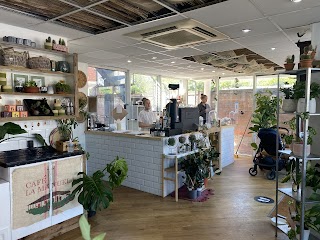 Bohemia House Plants & Coffee Lounge