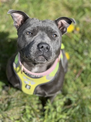 Treats and Trails (Stockport,Cheshire)