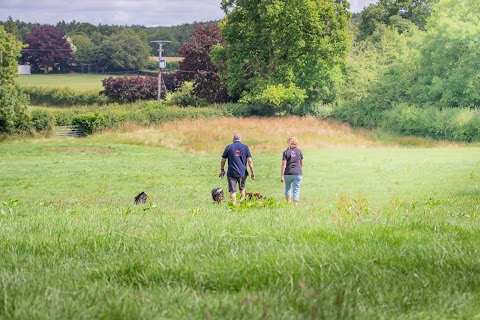 We Love Pets Cannock - Dog Walker, Pet Sitter & Home Boarder