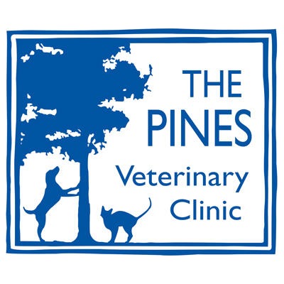 Pines Veterinary Clinic - Maidenhead