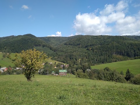 Головський правіковий ліс