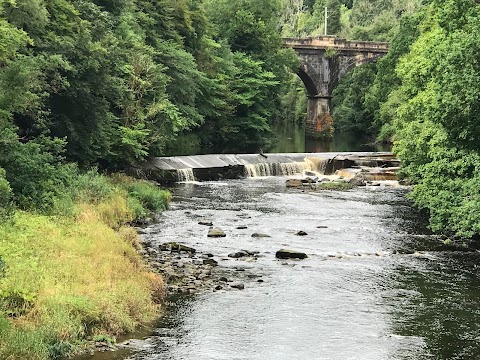 River Avon Hamilton to Chatelherault