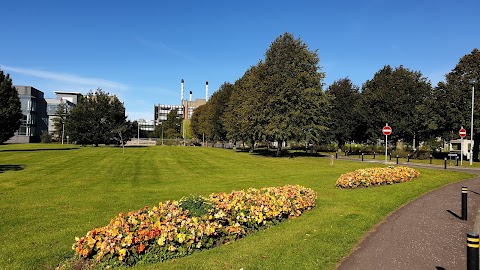 University of Ulster Jordanstown Campus