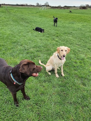 Portsmouth Pet guardians