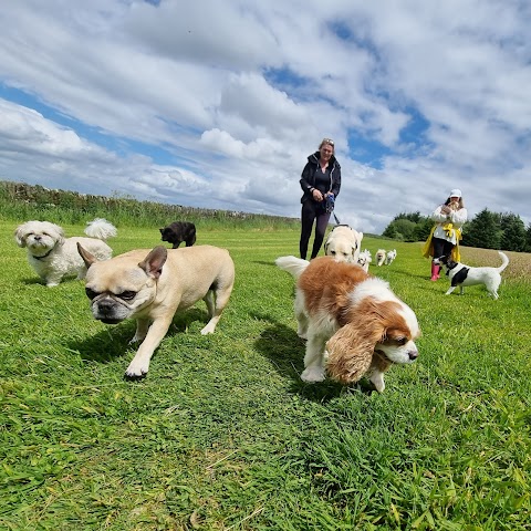 Doonane Dog Grooming & Boarding Kennels