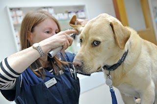 Radford Road Veterinary Surgery